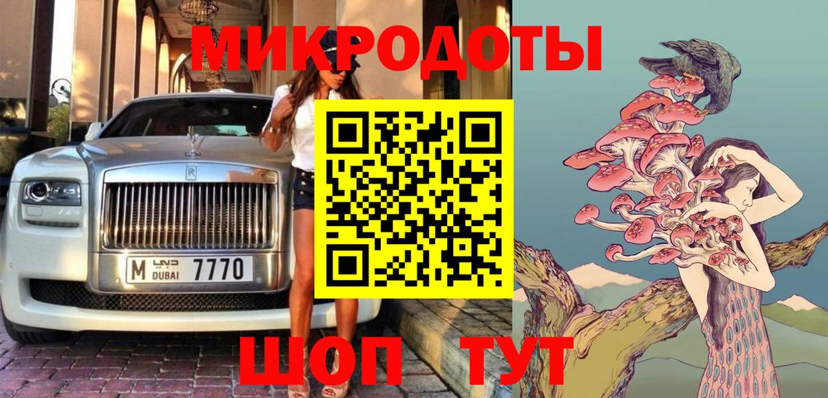 Псилоцибиновые грибы Cubensis Балашов