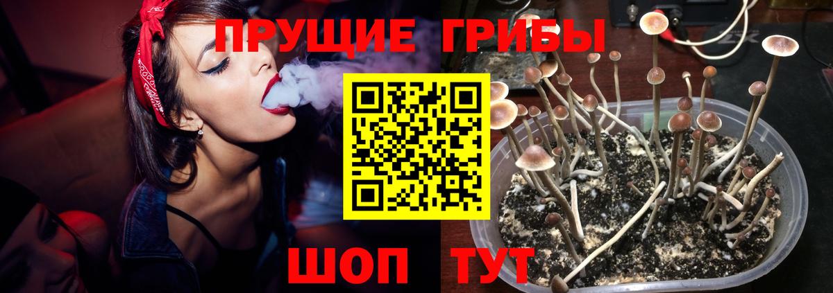 что такое   Галлюциногенные грибы ЛСД  Псилоцибиновые грибы Psilocybe  Вход с VPN  Балашов 